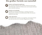 Nordic Sheep Real Sheepskin Rug 4x6 ft | Sheepskin Rugs for Living Room and Sofa | Large Bedside Rugs for Bedrooms is Breathable & Heat-regulating | Fluffy Rug in Color Light Grey