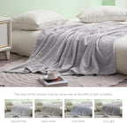 Exclusivo Mezcla Fleece King Size Blanket for Bed, 90x104 Inches Soft Cozy Jacquard Flannel Blankets, Lightweight Fuzzy Plush Warm for Women, Light Grey
