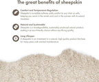 Nordic Sheep Real Sheepskin Rug 4x6 ft | Sheepskin Rugs for Living Room and Sofa | Large Bedside Rugs for Bedrooms is Breathable & Heat-regulating | Fluffy Rug in Color Beige
