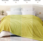 Exclusivo Mezcla Fleece Bed Blankets Queen Size, Ultra Soft, Lightweight and Fuzzy Light Green Blanket for Women, Home Decor, 90x90 Inches