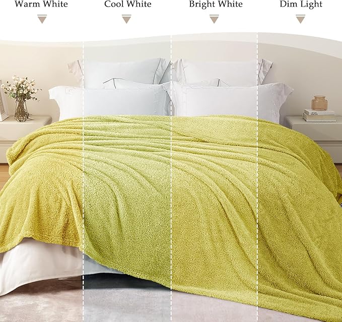 Exclusivo Mezcla Fleece Light Green Throw Blanket for Couch Sofa, Ultra Soft, Lightweight and Fluffy Blankets for Women, All Season, 50x60 Inches