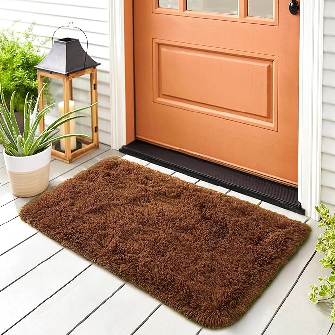 Noahas Door Mat Indoor Entrance,2x3 Shaggy Small Brown Area Rugs for Entryway,Non-Slip Fluffy Entry Bedroom Rug,Soft Plush Bedside Throw Kids Carpet