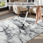 CRYPTOLITE Abstract Area Rug Washable Rug with Non-Slip Backing Low Pile Area Rugs for Living Room, Bedroom, Dining Room,4x6, Silver&Grey