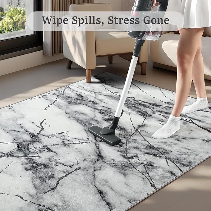 CRYPTOLITE Abstract Area Rug Washable Rug with Non-Slip Backing Low Pile Area Rugs for Living Room, Bedroom, Dining Room,4x6, Silver&Grey