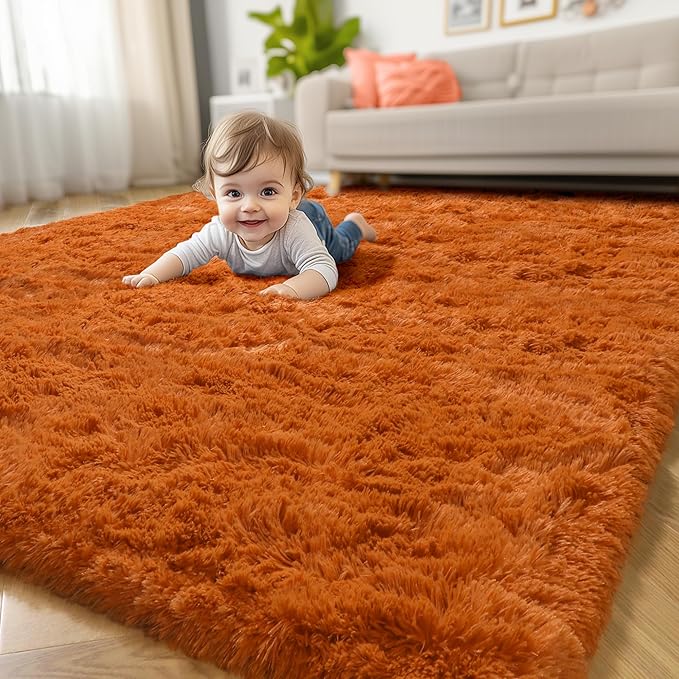 Amdrebio Burnt Orange Area Rugs for Bedroom Living Room Decor, Shag Plush Fluffy Furry Rug 4x6 for Kids Room Aesthetic, Small Cute Fuzzy Shaggy Dark Orange Carpet for Nursery Dorm Classroom Playroom
