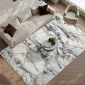 CRYPTOLITE Area Rugs 9x12 Rug for Living Room Abstract Washable Rug with Non-Slip Backing Low Pile Area Rugs for Bedroom, Dining Room, Gold&Grey