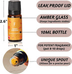 Folkulture Fall is in The Air Essential Oils Set of 6 | Diffuser Fragrance Oils for Home | Vanilla, Pumpkin Spice & More | Aromatherapy Gift for Fall, New Year & Valentine’s Day