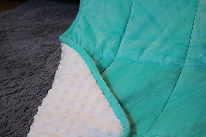 ALANSMA Reversible Weighted Blanket for All Season, Luxury Velvet, Warm and Cool, Adult 20Lb Green Weighted Blanket, Enjoy Sleeping Anywhere(Light Green,60"x80" 20lbs)