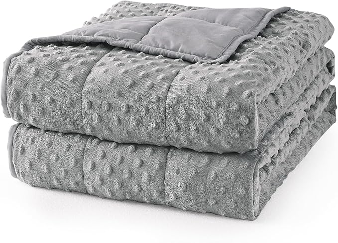Mr. Sandman Weighted Blanket for Adults Queen, Minky Dots Heavy Blanket for Woman,Man Sleeping/Calm, Soft, Cozy and Cooling Weighted Throw Blankets, Machine Washable, 80 x 87in, 20 Pounds, Grey