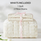 BEDELITE Velvet Quilt Set Queen Size - Luxury Velvet Comforter Bedding Set 3 Pieces, Lightweight Soft Cozy Shiny Cream White Oversized Bedspread Coverlet for All Seasons with 2 Pillow Shams
