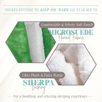 Elegant Comfort Throw Blanket, Reversible Sherpa Flannel, Ultra-Soft, Fuzzy, Cozy and Plush- All Season Lightweight Decorative Throw, 50 x 60 inches, Solid Sherpa Throw, Emerald Green