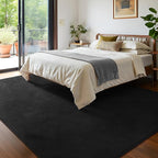 Keeko Area Rugs for Living Room Bedroom 6x9 Black, Soft Modern Large Rugs Indoor Non Slip Fluffy Rug Minimalist Low Pile Washable Carpet Rug for Kids Boys Girls Dorm Classroom Nursery Home Decor