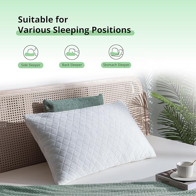 EGOHOME Shredded Memory Foam Pillows, Adjustable Bed Pillows for Side, Back or Stomach Sleepers, Neck Pillows for Sleeping, Queen Size Pillow with Removable Cover (2 Pack)