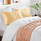 Satin Pillowcases with Zipper （20x30）,Queen Size Pillowcases Set of 2, Gold Silk Pillowcase for Hair and Skin
