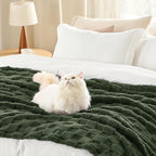 Bedsure GentleSoft Twin Blanket for Bed Bronze Green - Super Soft Cozy Spring Blankets for Kids Girls, Cute Fuzzy Fleece Throws for Bedroom Couch, 60x80 Inches