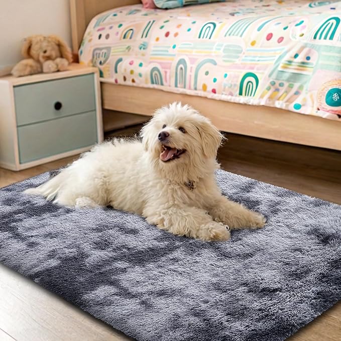 OLANLY Area Rugs for Living Room Bedroom, Machine Washable 2x3 Feet Soft Fluffy Shaggy Bedside Rug, Indoor Floor Carpet for Kids Girls and Boys, Nursery Room, Home Decor Aesthetic, Light Grey Tie-dye