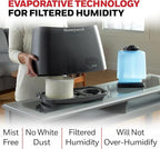 Honeywell Cool Moisture Humidifier For Bedroom, Medium Rooms, 1.1 Gallon, Invisible Moisture Humidifier for Baby, Kids, Quiet, Easy to Clean, UV Technology, Black, HCM350B