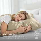 Satin Pillowcase 2 Pack - Queen Size (20"x30", Champagne Gold) - Silky Pillow Cases for Hair and Skin - Satin Pillow Covers with Envelope Closure - Extra Soft Premium Microfiber