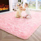 Noahas Fluffy 4x6 Pink Rugs for Bedroom Girls,Shaggy Kids Rug,Thick Shag Throw Floor Carpet,Soft Non-Slip Dorm Nursery Area Rugs for Living Room Home Decor Aesthetic