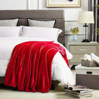 DREAMNINE Pack of 21 Fuzzy Soft Fleece Throw Blanket for Couch Sofa 50" x 60", Decorative Solid Lightweight Velvet Blankets for Chair, Cozy Accent Shaggy Plush Flannel Blanket for Bedroom, Red
