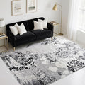 CRYPTOLITE Abstract Area Rug Washable Rug with Non-Slip Backing Low Pile Area Rugs for Living Room, Bedroom, Dining Room,4x6, Grey