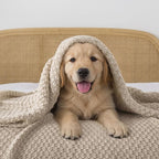 WDCOZY Chunky Cable Knit Throw Blanket Super Soft Warm Knitted Throw Blanket for Couch, Sofa, Chair, Bed Lightweight Breathable Cozy Comfortable Home Decorative Camel Tan Beige 60x80 Inches