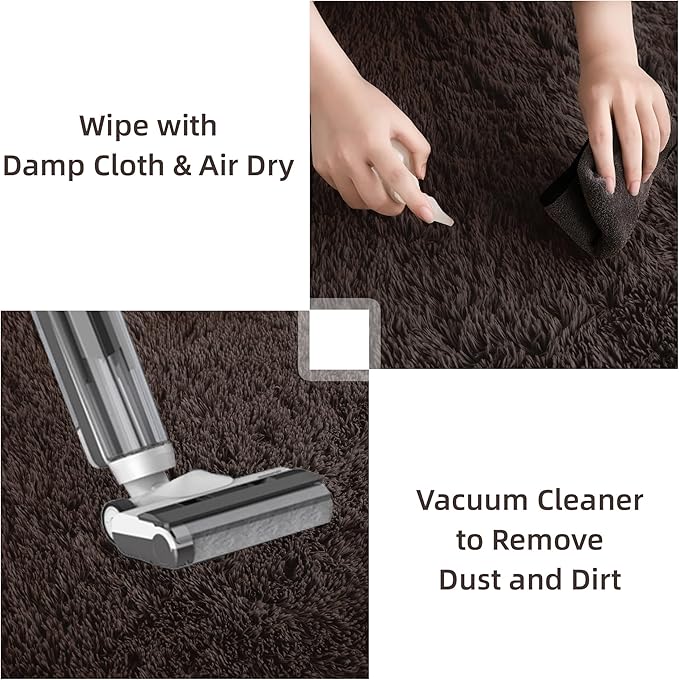 Litanika 4x6 Shag Area Rug for Living Room Bedroom, Brown High Pile Ultra Soft Plush Shaggy Furry Bedside Playroom Dorm Carpet, Non-Slip, Non-Shedding Modern Indoor Floor Rug