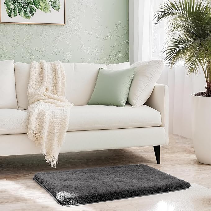 Shag Grey Small Rug 2x3 Area Rugs for Bedroom Dorm Bedside Living Room, Non-Slip Ultra Fluffy Soft Area Rugs for Entry, Kids Room, Study, Office, Playroom, Modern Small Carpet Décor
