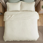 Bedsure Quilts Queen Size - Cream Bedspread Queen Size & Lightweight Comforter, Modern Cottage Coverlet with Clover Pattern, Ultra Soft All-Season Bedding, 90 x 96 Inches | Stitch-Free Quilting, Ultra Soft, Lightweight, Machine Washable, Pet-Friendly