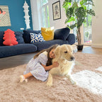 OLANLY 5x10 Machine Washable Large Area Rugs for Living Room, Bedroom, Soft Fluffy Shaggy Bedside Rug, Indoor Floor Carpet for Kids Girls and Boys, Dorms, Nursery, Home Decor Aesthetic, Beige