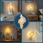 Nautical Crush Trading Seashell Night Light – Beach Night Light with Pink Murex – Shell Light for Bathroom – Sea Shell Lamp – Seashell Lamp Plug Into Wall