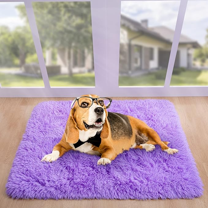 Noahas Fluffy Purple Rugs for Bedroom Girls,Door Mat Indoor Entrance,2x3 Shaggy Small Non-Slip Entryway Entry Area Rugs,Soft Plush Bedside Throw Kids Carpet Home Decor