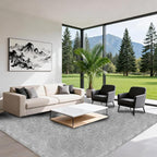 Large Shag Area Rugs 6x9 Feet, Plush Fuzzy Shaggy Rug for Living Room, Ultra Soft Fluffy Furry Rugs for Bedroom, Indoor Thick Carpet Nursery Rugs for Kids Girls Boys Dorm Room Home Decor, Light Grey