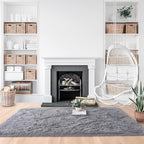 Noahas Fluffy Bedroom Rug,3x5 Feet Plush Fuzzy Grey Area Rugs for Living Room, Non Slip Thick Soft Shaggy Nursery Furry Floor Dorm Kids Carpet