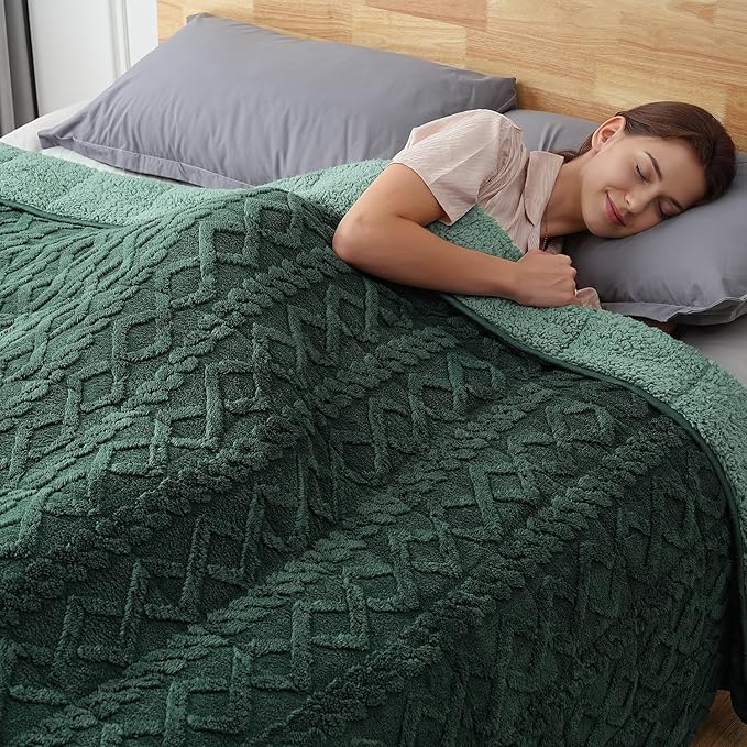 Sherpa Fleece Adult Weighted Blanket Great for Sleep, 20 lbs Dual Sided Soft Fuzzy Heavy Blankets for Couch Bed Sofa, Cozy Warm Fluffy Jacquard Throw for Winter (Green, 60" x 80", 20 Pounds)