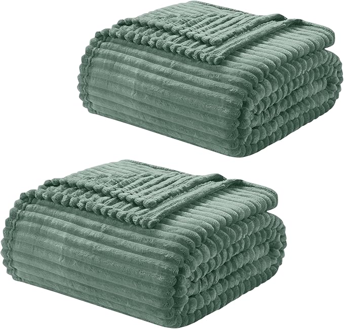 Nestl Green Throw Blanket for Couch - Cozy Warm Fuzzy Blankets for Women, Set of 2 Small Fleece Throws for Girls - Sage Green, 50 x 60 Inches