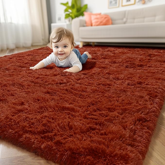 Amdrebio Terracotta Rust Area Rugs for Bedroom Living Room, 5x7 Fluffy Fuzzy Shaggy Furry Rug for Kids Room Decor Aesthetic, Modern Cute Plush Shag Rustic Carpet for Nursery Dorm Classroom Playroom