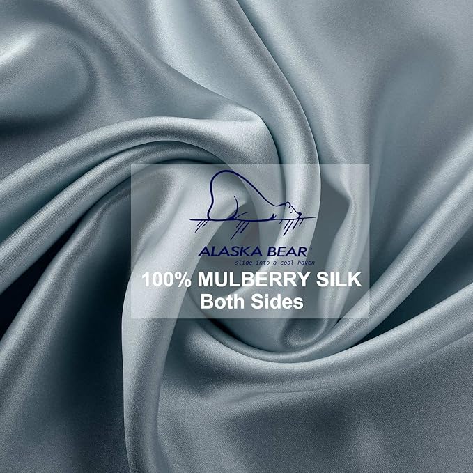 ALASKA BEAR Natural Silk Pillowcase, Hypoallergenic, 19 Momme, 600 Thread Count 100 Percent Mulberry Silk, Queen Size with Hidden Zipper(1, Haze Blue)