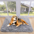 Noahas Door Mat Indoor Entrance,2x3 Shaggy Small Grey Area Rugs for Entryway,Non-Slip Fluffy Entry Bedroom Rug,Soft Plush Bedside Throw Kids Carpet