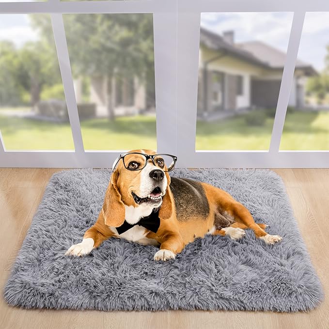Noahas Door Mat Indoor Entrance,2x3 Shaggy Small Grey Area Rugs for Entryway,Non-Slip Fluffy Entry Bedroom Rug,Soft Plush Bedside Throw Kids Carpet