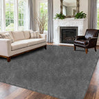 Shag Area Rugs for Living Room Grey, Soft Fluffy 4x6 Feet Fuzzy Plush Bedroom Rug, Shaggy Floor Carpets for Kids Girls Boys Room, Dorms, Nursery, Home Decor Aesthetic, Upgrade Anti-Skid