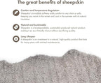 Nordic Sheep Real Sheepskin Rug 2x6 ft | Sheepskin Rugs for Living Room and Sofa | Large Bedside Rugs for Bedrooms is Breathable & Heat-regulating | Fluffy Rug in Color Light Grey