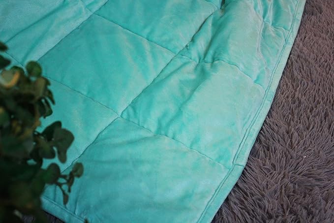 ALANSMA Reversible Weighted Blanket for All Season, Luxury Velvet, Warm and Cool, Adult 15Lb Green Weighted Blanket, Enjoy Sleeping Anywhere(Light Green,60"x80" 15lbs)