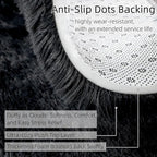 Shag Black Rug, 2x3 Area Rugs for Bedroom Bedside, Ultra-Soft Fluffy Fuzzy Plush Shaggy Furry Rugs for Kids Room, Boys Girls Room, Dorm, Easy Clean Modern Small Carpet