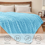 BEDELITE Light Blue Throw Blanket for Couch and Bed- Super Soft and Warm 3D Checkered Fluffy Fuzzy Fleece Blanket, Luxurious Plush Cozy Blanket for Room Decor Spring, 50x60 inches