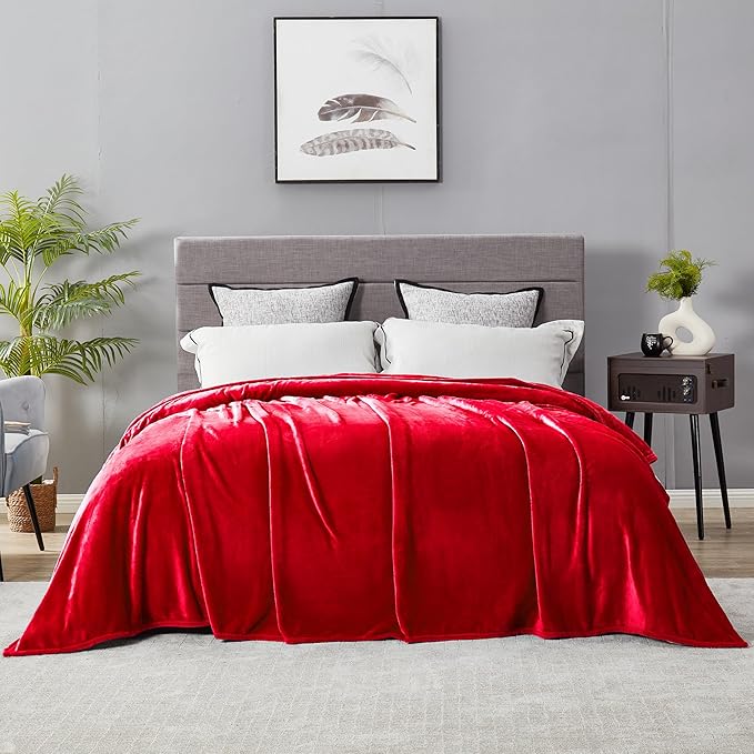 DREAMNINE Ultra Large Soft Fuzzy Flannel Fleece Blanket Full Size 80" x 90", Decorative Solid Lightweight Fluffy Velvet Bed Blanket, Luxury Big Cute Cozy Shag Plush Microfiber Blankets for Bedroom,Red