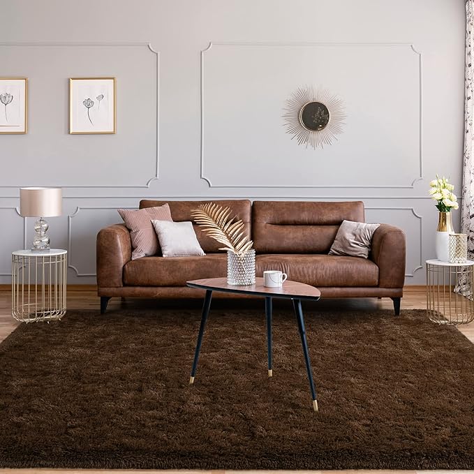 Jelymark Super Soft Shaggy Rug for Bedroom, 6x9 Feet Fluffy Carpet for Living Room, Fuzzy Indoor Plush Area Rug for Home Decor, Furry Floor Rugs for Dorm, Kids Nursery Rug for Girls, Brown