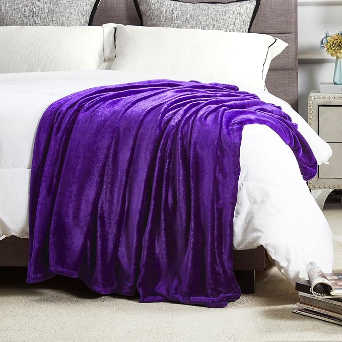 DREAMNINE Oversized Soft Fuzzy Fleece Throw Blanket Twin Size 60" x 80",Decorative Large Solid Lightweight Velvet Bed Blanket,Big Cute Cozy Accent Shaggy Microfiber Flannel Blankets for Bedroom,Purple