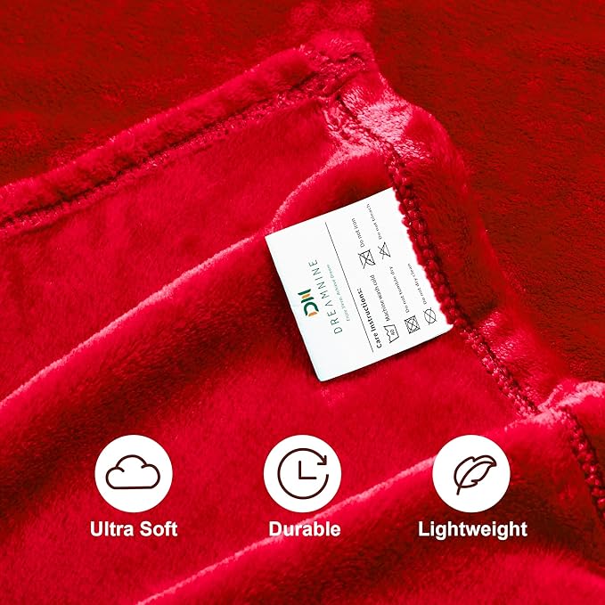 DREAMNINE Ultra Large Soft Fuzzy Flannel Fleece Blanket Queen Size 90" x 90", Decorative Solid Lightweight Fluffy Velvet Bed Blanket,Luxury Big Cute Cozy Shag Plush Microfiber Blankets for Bedroom,Red
