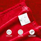 DREAMNINE Oversized Soft Fuzzy Flannel Fleece Throw Blanket Twin Size 60" x 80", Decorative Solid Lightweight Fluffy Velvet Bed Blankets, Luxury Big Cozy Shag Plush Microfiber Blanket for Bedroom, Red